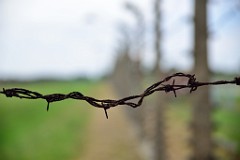 29 Giugno 2018 - Auschwitz-Birkenau - Zakopane